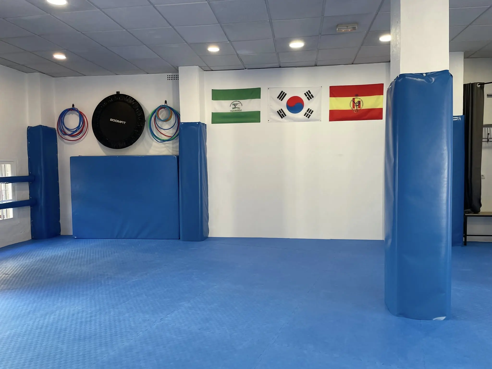 Galería de Club Taekwondo Gong Kiok inaugura nueva sede con apoyo del Ayuntamiento de Alhaurín - Item 18