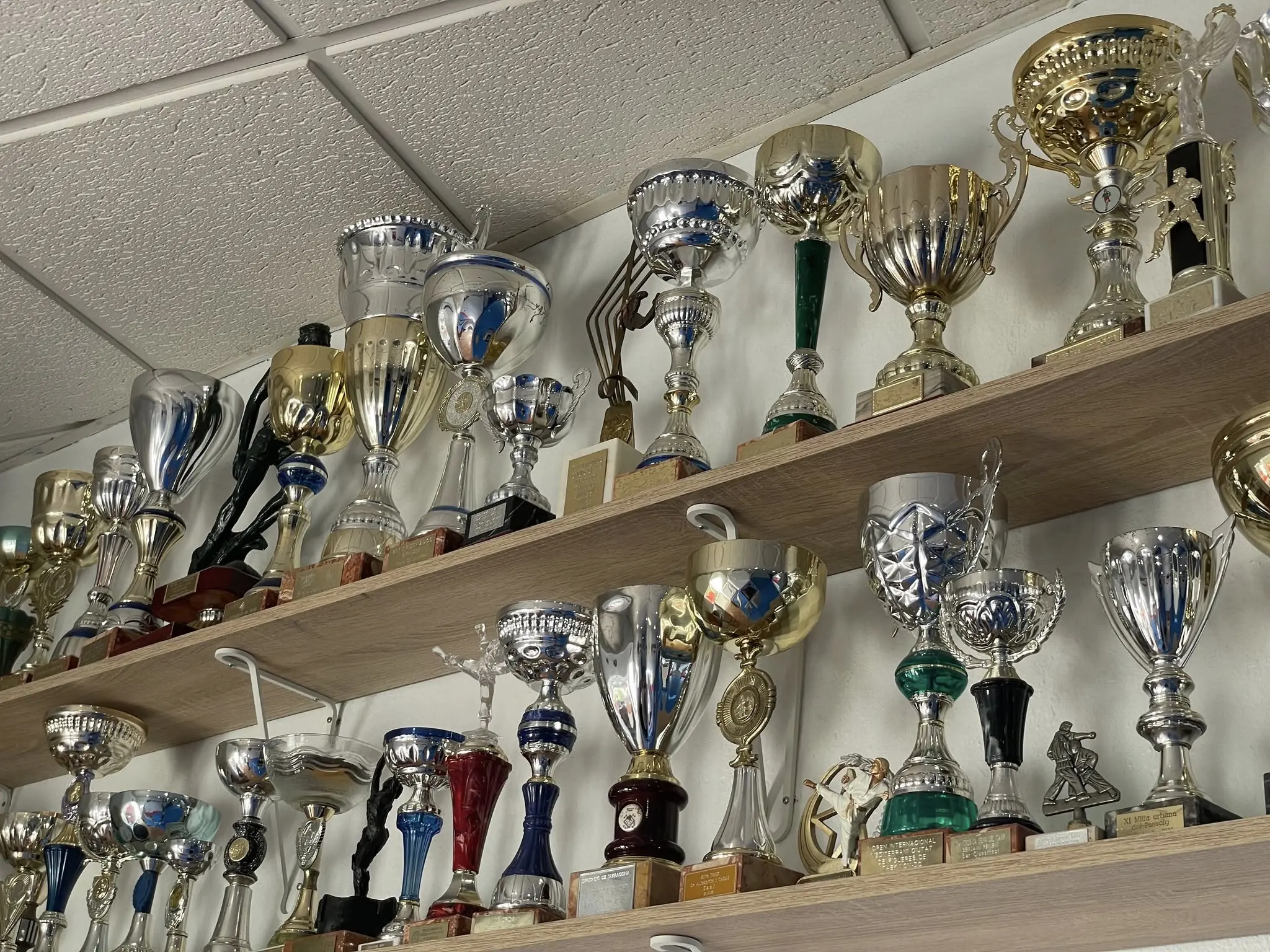 Galería de Club Taekwondo Gong Kiok inaugura nueva sede con apoyo del Ayuntamiento de Alhaurín - Item 19